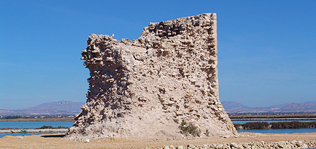 Torre Vigía;TAMARIT